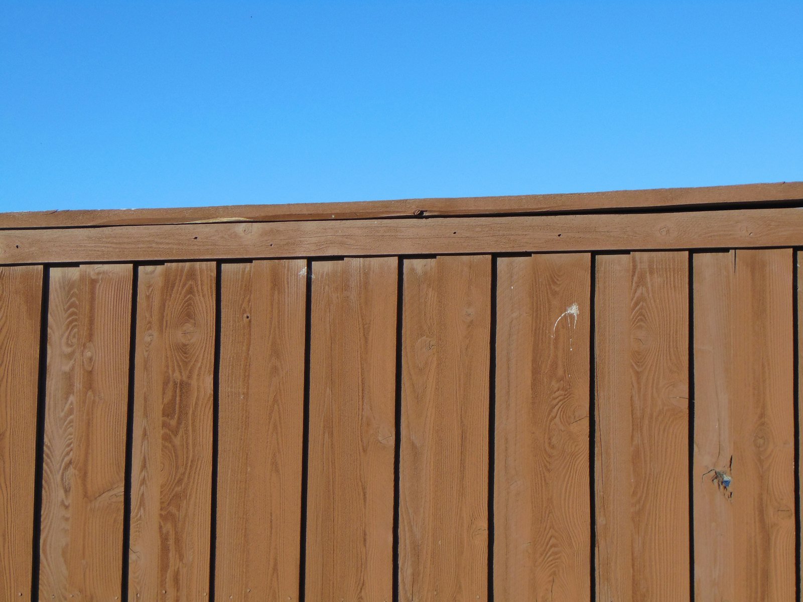 Cedar vs. Vinyl Fence: Which Is Better for North Texas Homes?