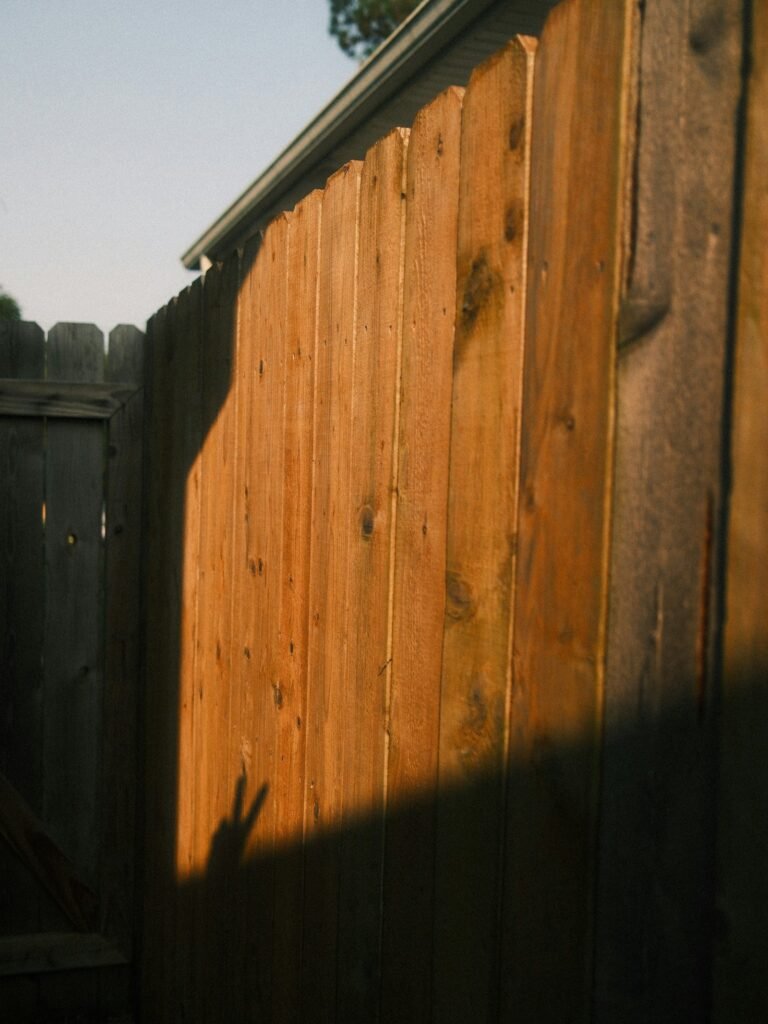 Freshly stained cedar fence boards in sunlight