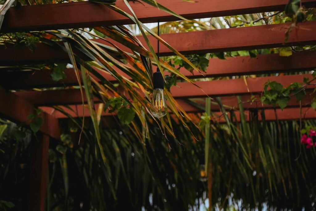 Wood pergola with string lighting